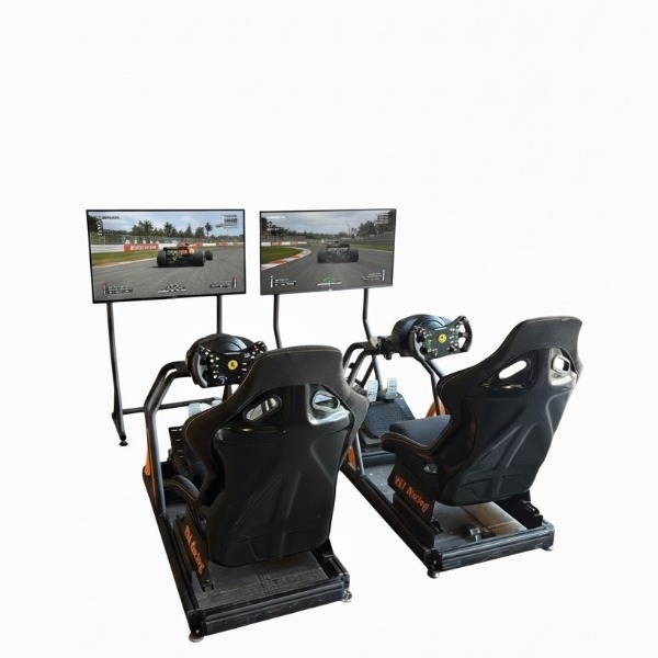 Race Simulator Duo